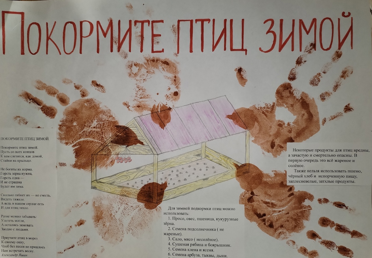 Экологическая акция &amp;quot;Покормите птиц зимой&amp;quot;.